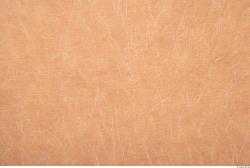 Photo Textures of Human Skin